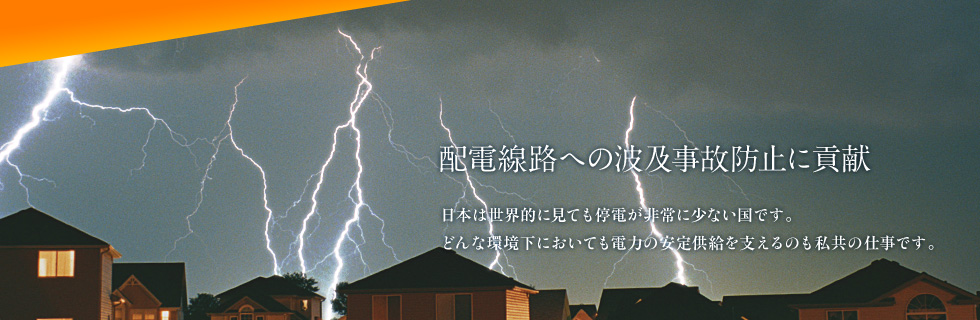 配電線路への波及事故防止に貢献